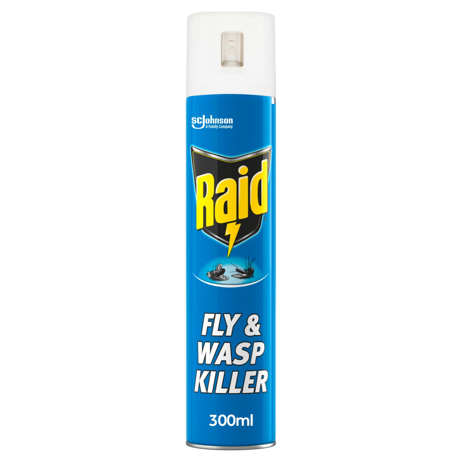 Raid Fly & Wasp Killer (300 ml)