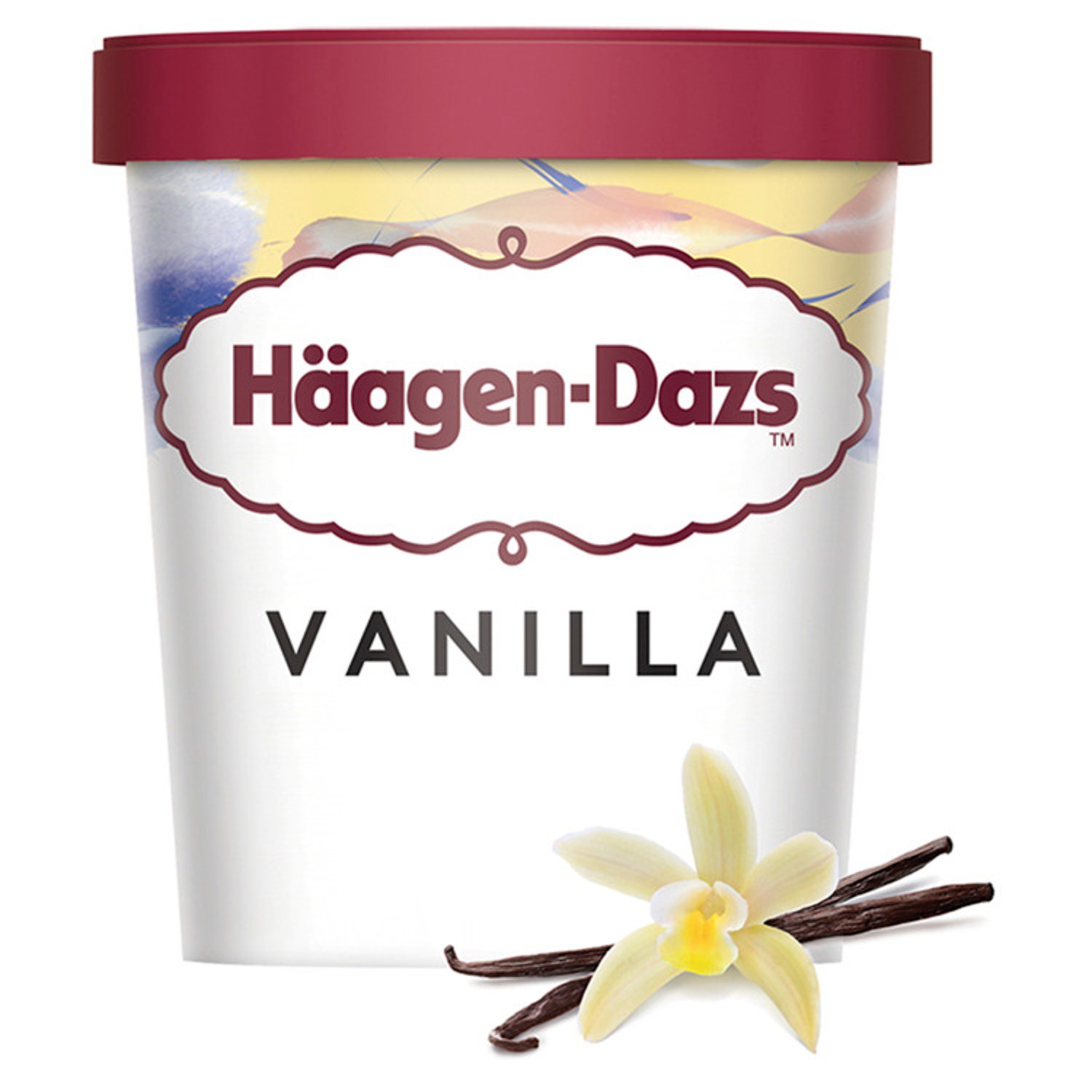 Haagen-Dazs Vanilla Ice Cream (400 ml)