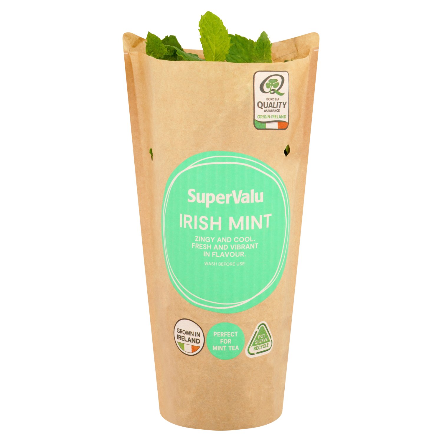 SuperValu Growing Mint  (1 Piece)