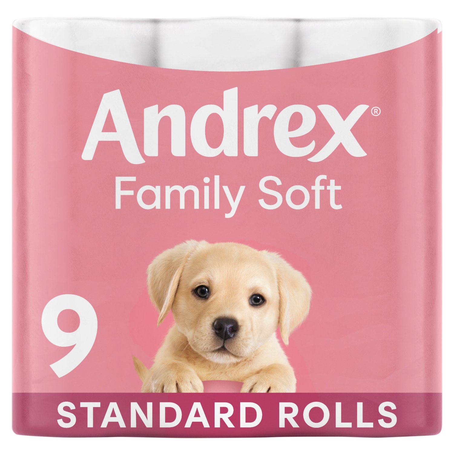 Andrex Family Soft Toilet Tissue (9 Roll) - Storefront EN