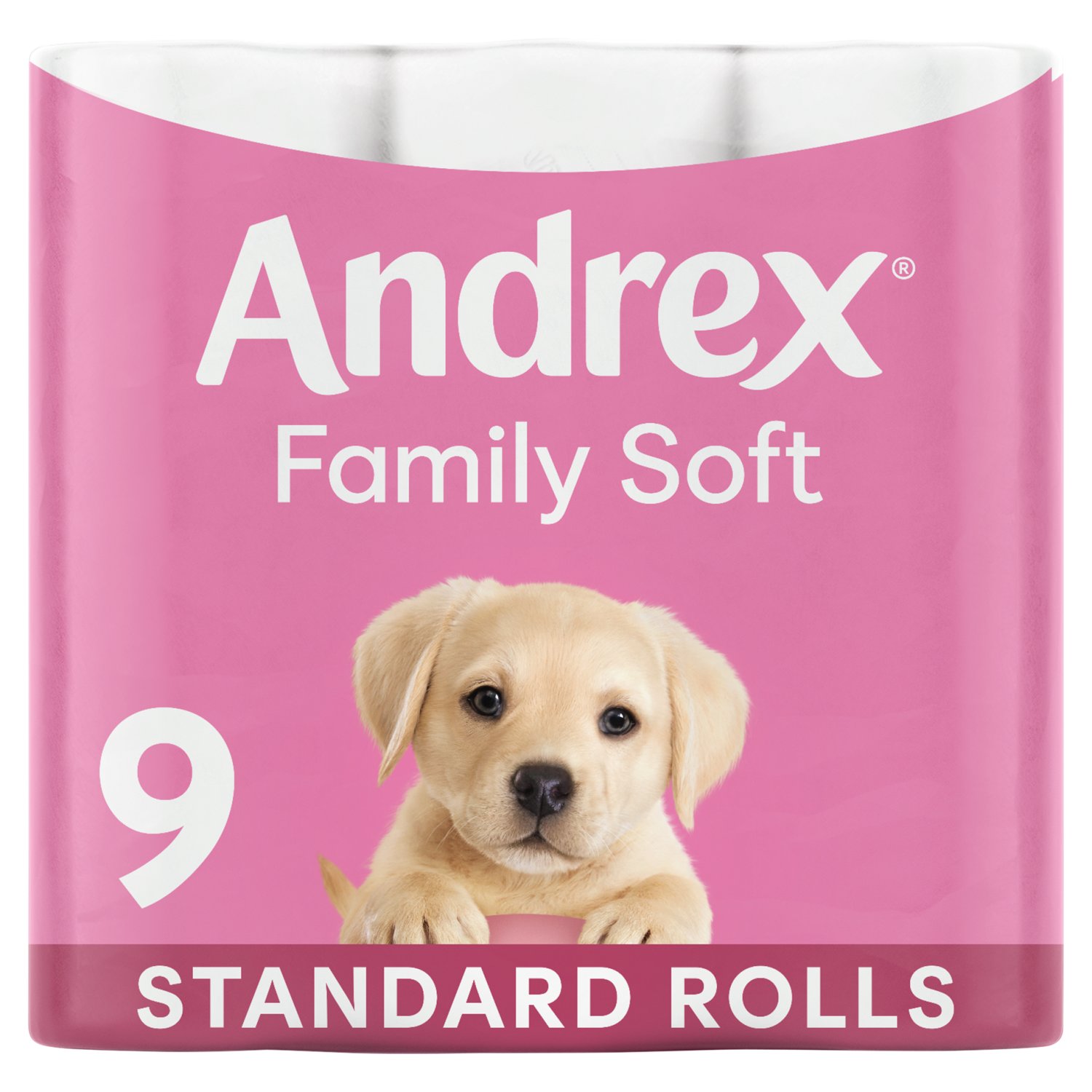 Andrex Family Soft Toilet Tissue (12 Roll)