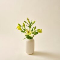 SuperValu Lily (1 Piece)