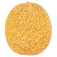 Galia Melon (1 Piece)