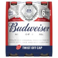 Budweiser Beer Bottle 6 Pack (300 ml)