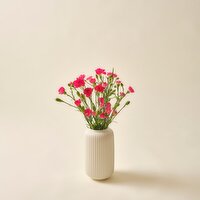 SuperValu Carnation Bouquet Of The Week (1 Piece)