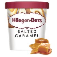 Haagen-Dazs Salted Caramel Ice Cream (460 ml)