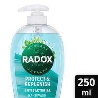 Radox Protect & Replenish Liquid Hand Wash (250 ml)