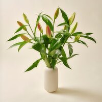 Luxury Lillies (1 Piece)