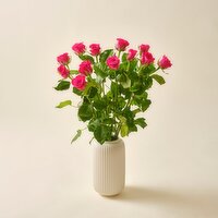 Long Stem Roses (1 Piece)