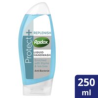 Radox Protect + Replenish Hand Wash (250 ml)