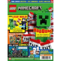 Lego Minecraft (1 Piece)