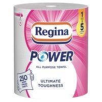 Regina Power All Purpose Towel (1 Roll)