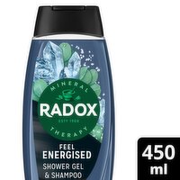 Radox Men Feel Energised 2in1 Shower Gel (450 ml)