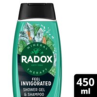 Radox Men Feel Invigorated 2in1 Shower Gel (450 ml)