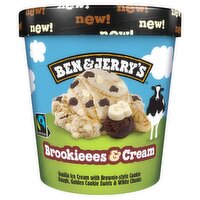 Ben & Jerry's Brookieees & Cream Ice Cream Tub (465 ml)