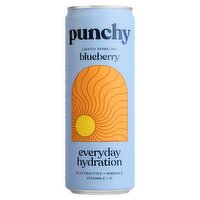 Punchy Blueberry Hydration Sparkling Drink Can (330 ml)