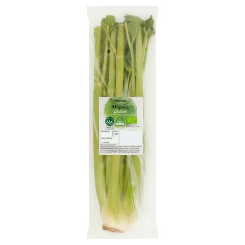 SuperValu Organic Celery  (1 Piece)