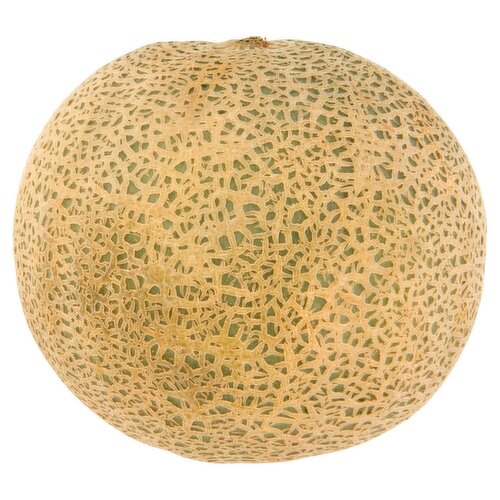 Cantaloupe Melon (1 Piece)