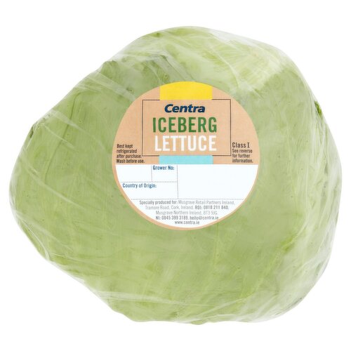 Centra Import Iceberg Lettuce (1 Piece)