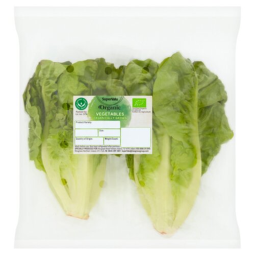 SuperValu Organic Lettuce (1 Piece)