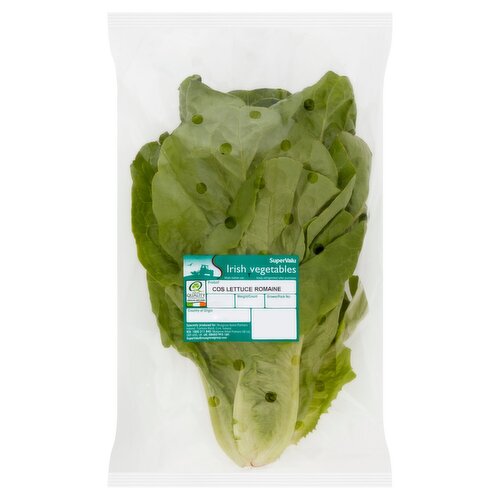 Cos Romaine Lettuce (1 Piece)