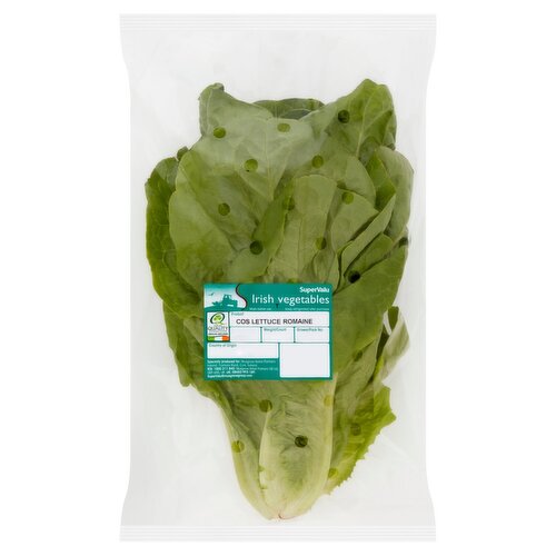 Cos Romaine Lettuce (1 Piece)