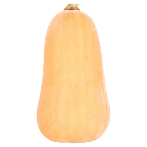 Butternut Squash Loose (1 Piece)
