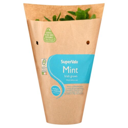 SuperValu Growing Mint  (1 Piece)