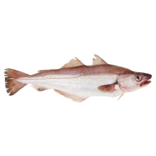 Whole Whiting Fish (1 kg)