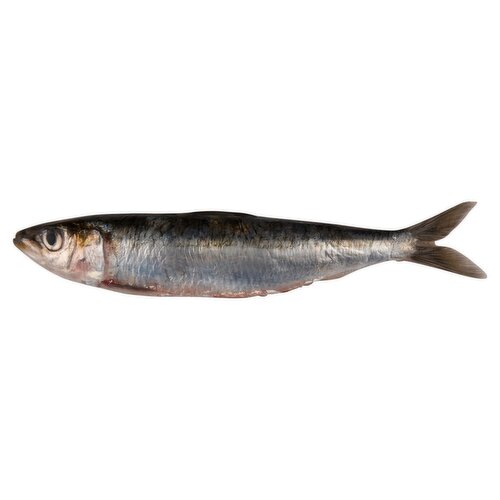 Whole Sardines    (1 kg)