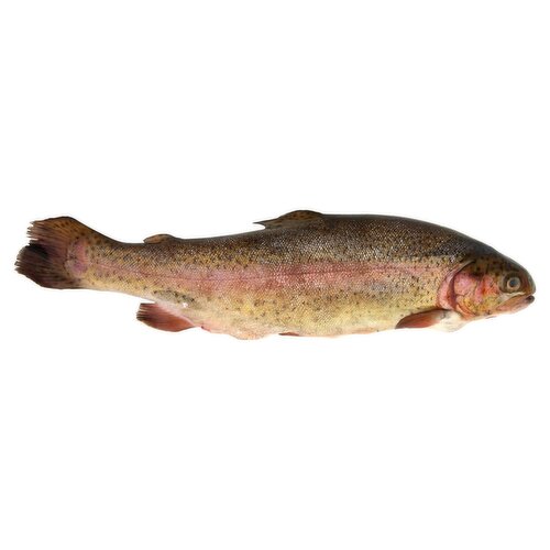 Whole Large Trout (1 kg)