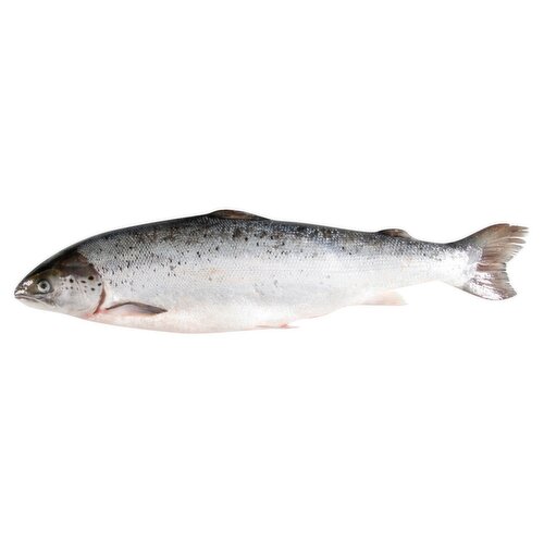 Whole Salmon Fish (1 kg)