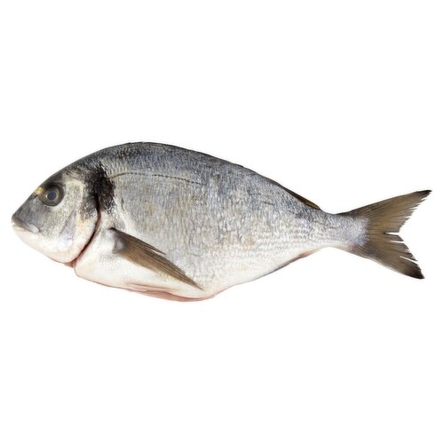 Whole Silver Sea Bream Fish (1 kg)