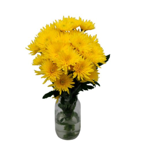 SuperValu Chrysanthemum Bouquet Of The Week (1 Piece)