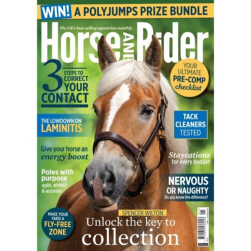 Horse & Rider (1 Piece)