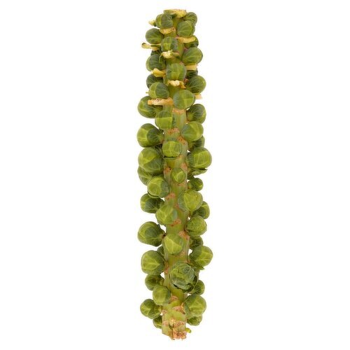 SuperValu Green Brussel Sprouts on Stalk (1 Piece)