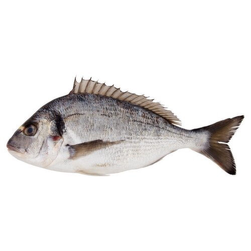 Whole Sea Bream Fish (1 Piece)