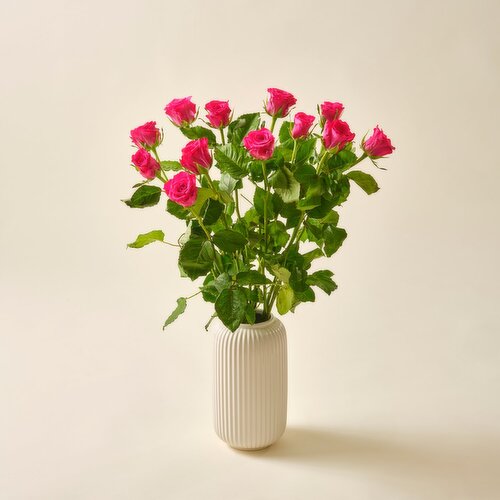 Long Stem Roses (1 Piece)
