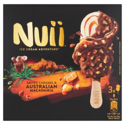 Nuii Salted Caramel and Australian Macadamia Ice Cream 3 Pack (270 ml)