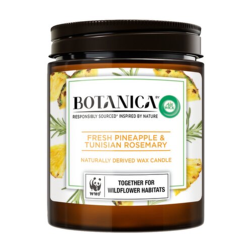 Airwick Botanica Pineapple & Rosemary Candle (1 Piece)