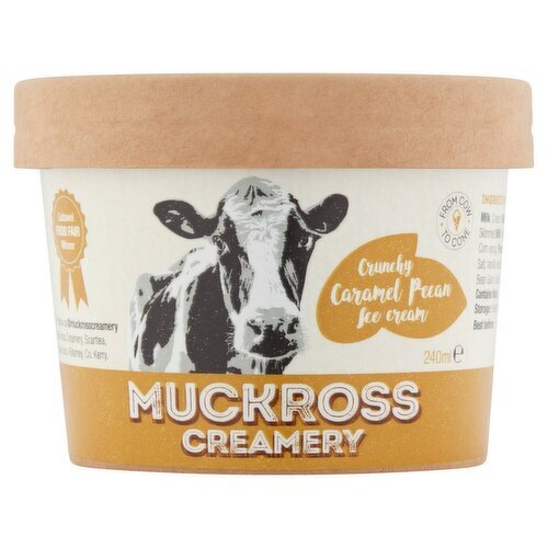 Muckross Creamery Crunchy Caramel Pecan Ice-Cream (240 ml)