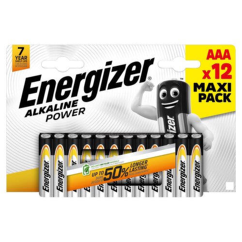 Enr Alk Power Aaa Bp12 (12 Piece)