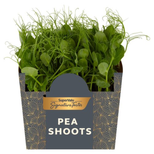 SuperValu Signature Tastes Growing Pea Shoots (1 Piece)