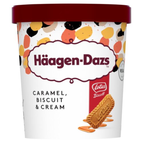 Haagen-Dazs Caramel Biscuit & Cream Ice Cream (460 ml)