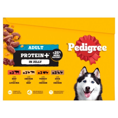 Pedigree Adult Protein+ in Jelly Variety Dog Food 12 Pack (85 g)