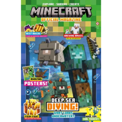 Minecraft Magazine (1 Piece)